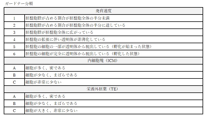 低グレード胚盤胞の妊娠 出産例 医療法人オーク会 不妊ブログ