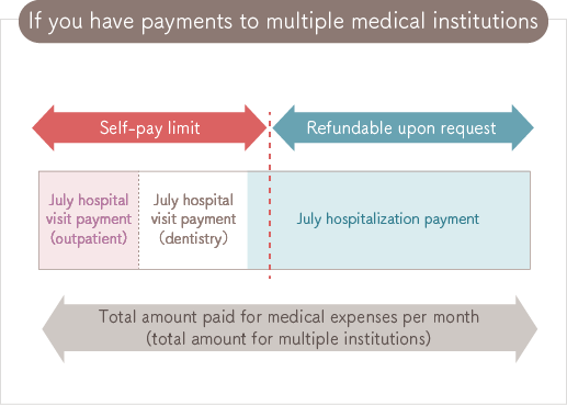 In case of payments to multiple medical institutions