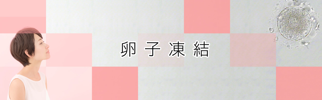 卵巣年齢検査（AMH）と早発閉経特集