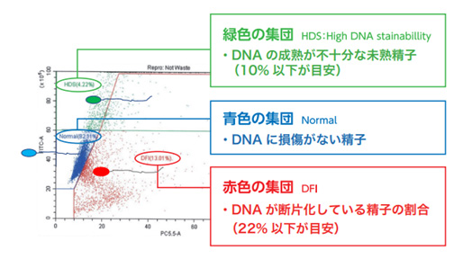 DFI検査の例