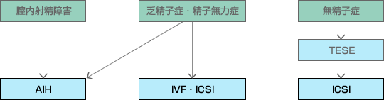 男性不妊の場合のフローチャート