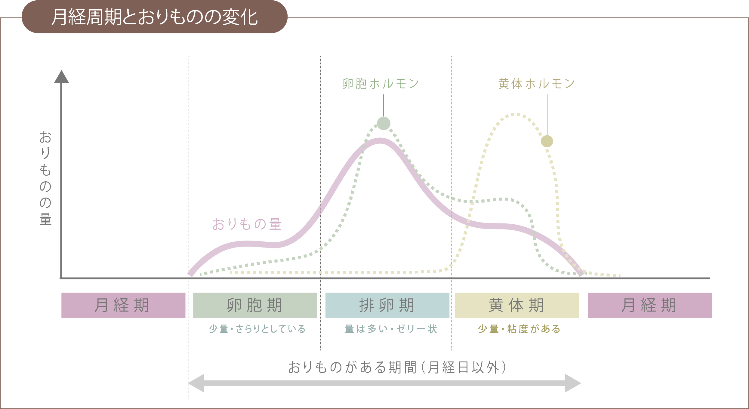 月経周期とおりものの変化