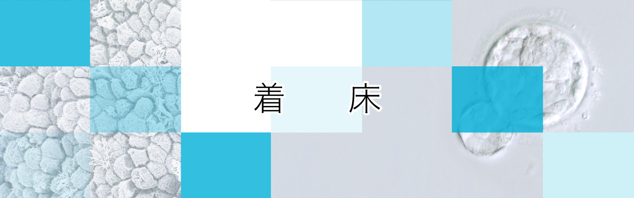 子宮筋腫