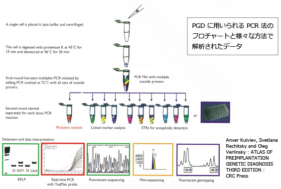 PCR法