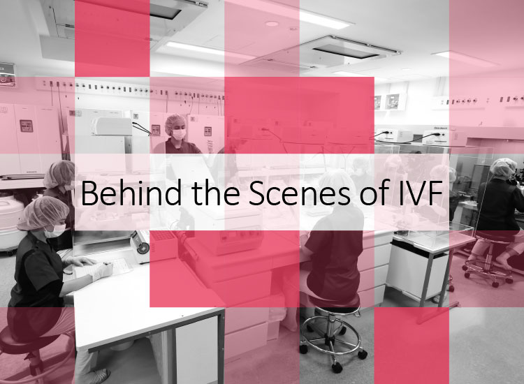 Behind the Scenes IVF TOP