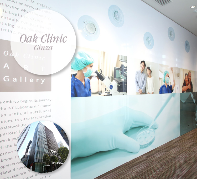 Oak Clinic, Ginza