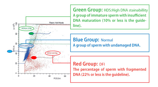 Example of DFI testing