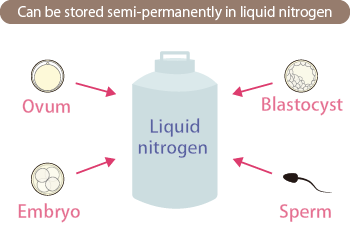 Semi-permanently storable