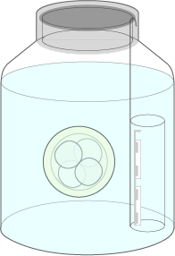 IVF-ET