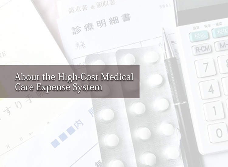 About the High-Cost Medical Care System