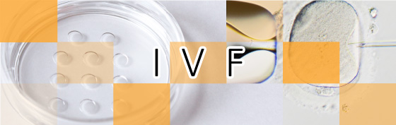 IVF