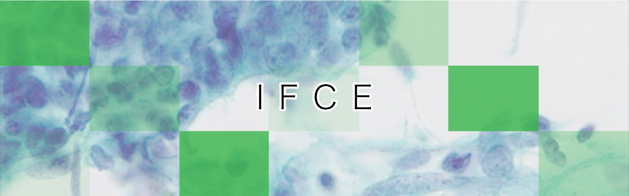 IFCE(Endometrium Assistance)