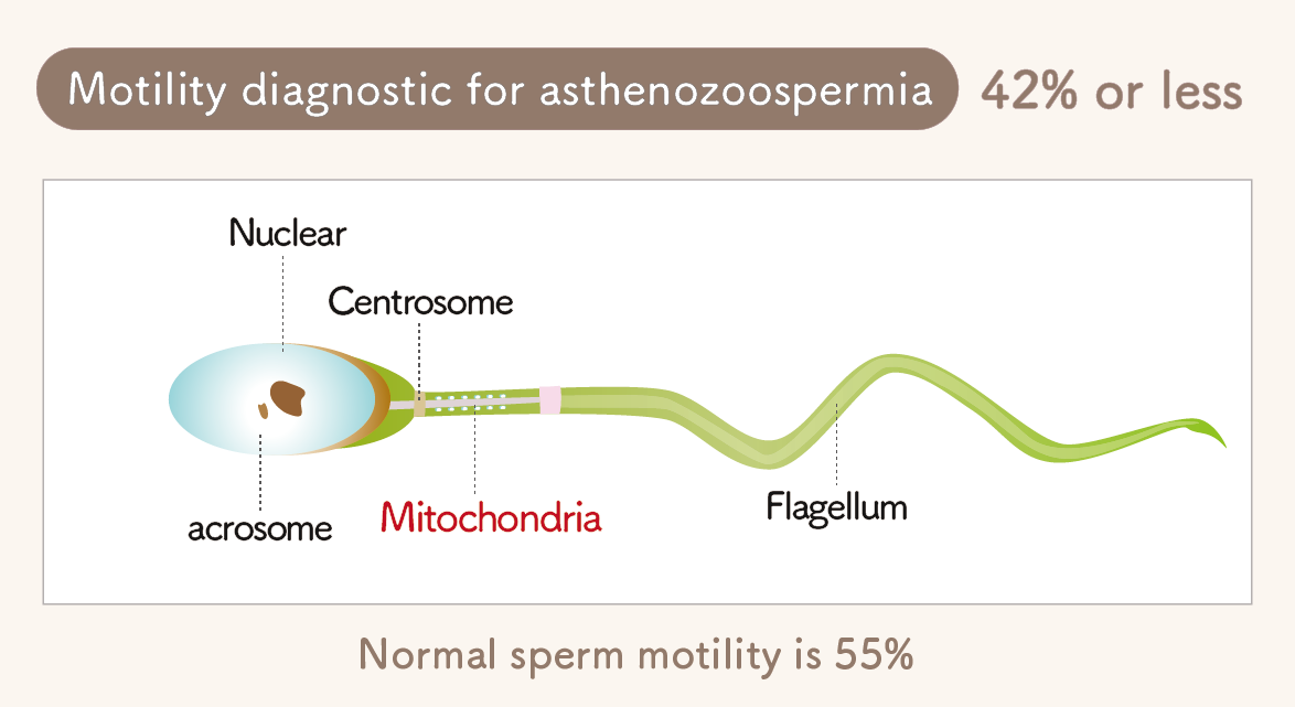 Asthenospermia