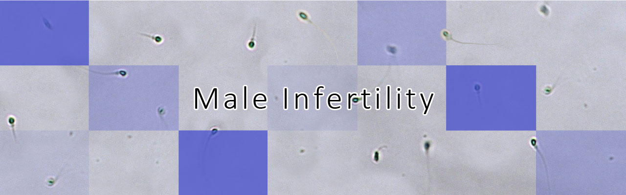 Male Infertility