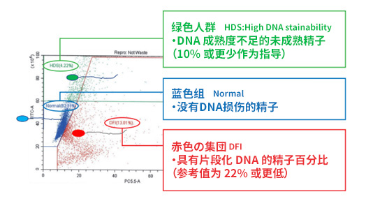 DFI検査例