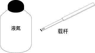 放在载杆上置入液氮中冷冻保存