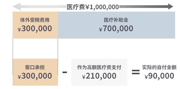 高额医疗费用制度的机制